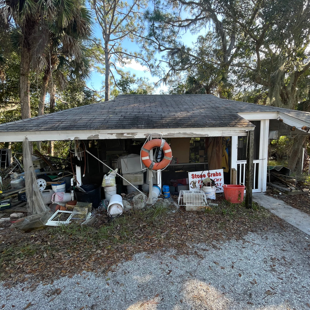 best stone crabs