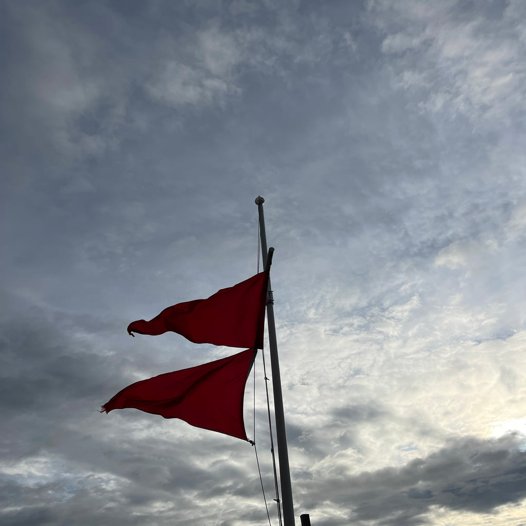 flags